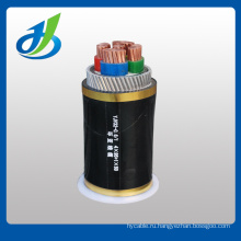 0.1/6kv XLPE Insulated PVC/XLPE sheathed STA Cables